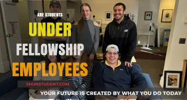 Exploring the Employment Status of Students Under Fellowship Programs