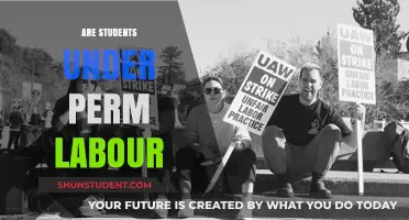 Exploring the Reality: Are Students Under Permanent Labour?