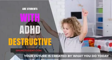 Understanding ADHD in Students: Destructive Behavior or Misunderstood Actions?