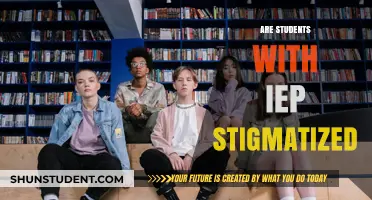 Understanding the Stigma: Students with IEPs in the Classroom