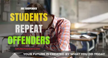 Do Suspended Students Become Repeat Offenders? An In-Depth Analysis