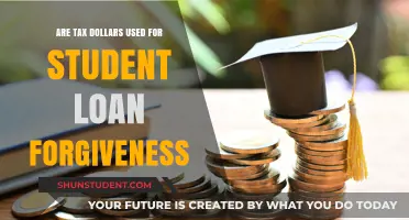 Are Your Tax Dollars Funding Student Loan Forgiveness? Explained