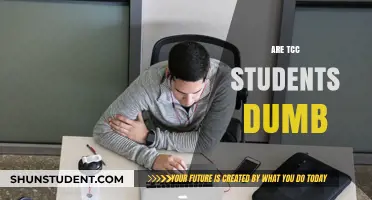Exploring the Misconceptions About TCC Students' Intelligence