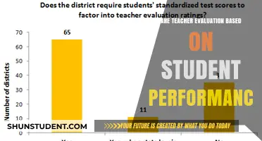 Evaluating Teachers: The Role of Student Performance in Assessments