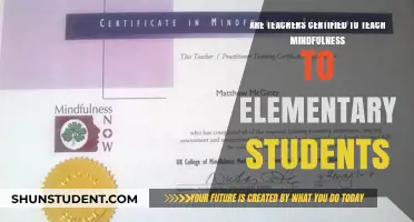 Are Teachers Equipped to Teach Mindfulness in Elementary Schools?