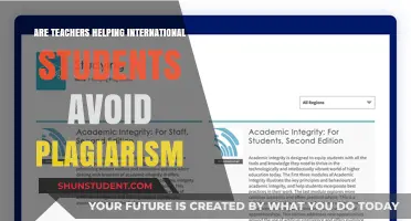 Teachers' Role in Preventing Plagiarism Among International Students