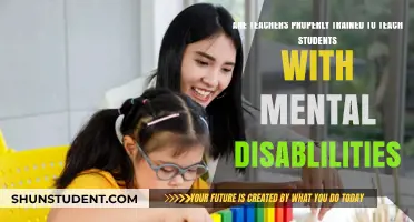 Are Teachers Adequately Prepared to Educate Students with Mental Disabilities?