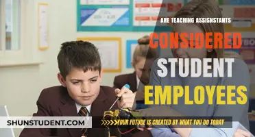 Teaching Assistants as Student Employees: Roles, Rights, and Responsibilities