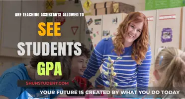 Can Teaching Assistants Access Student GPAs? Privacy and Policy Explained