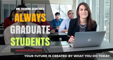 Teaching Assistants: Are They Always Graduate Students?