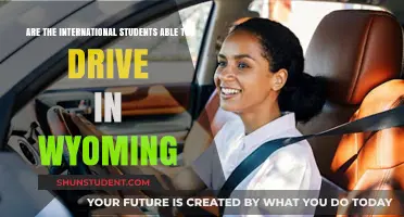 International Students: Can They Drive in Wyoming?
