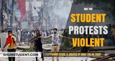 Student Protests: A Closer Look at the Violence Debate