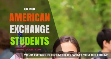 Exploring Opportunities: American Exchange Students Abroad