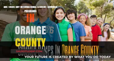 Summer Programs for International Students in Orange County