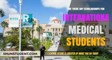 International Medical Students: Scholarship Opportunities