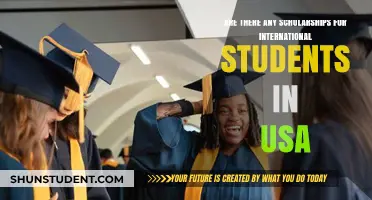 Scholarships for International Students: Opportunities in the USA