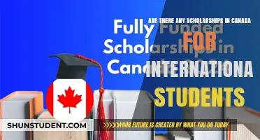 International Student Scholarships: Opportunities in Canada
