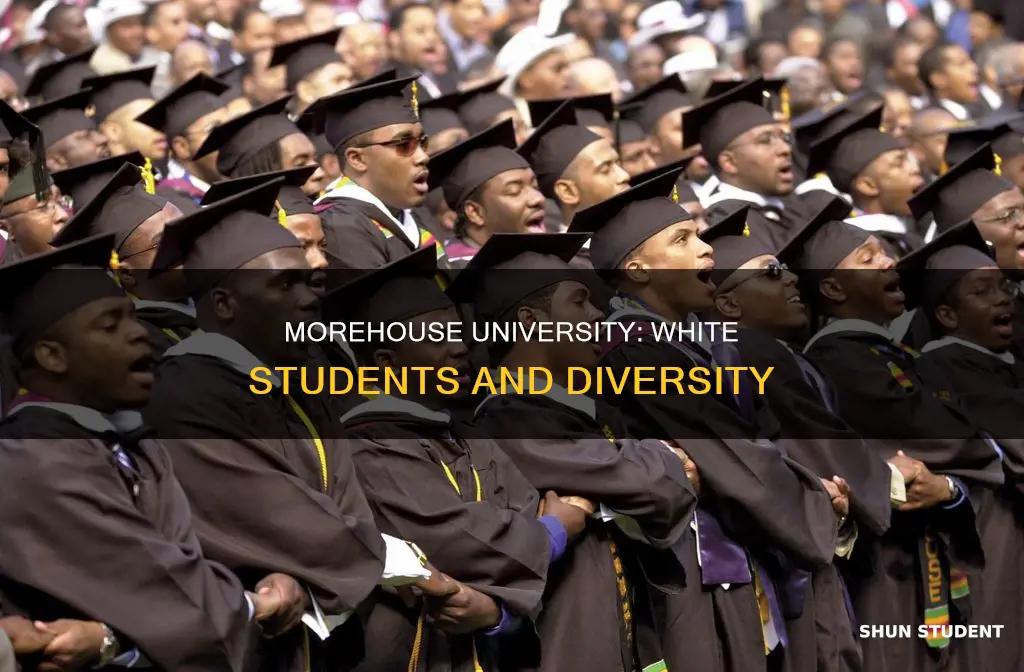 are there any white students at morehouse university