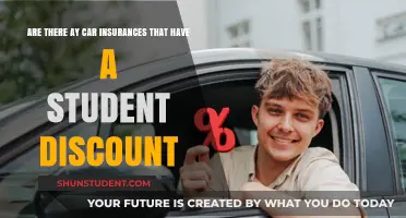 Student Discounts on Car Insurance: Which Providers Offer the Best Deals?