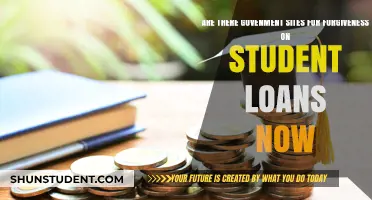 Government Student Loan Forgiveness Programs: What’s Available Now?