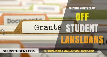 Student Loan Debt: Grants for Relief