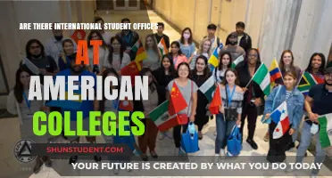 International Student Support at US Colleges
