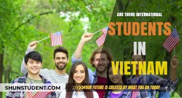 International Students in Vietnam: Who Are They?