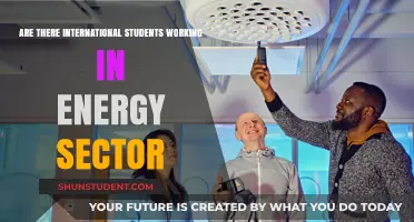 Energy Sector: International Students' Career Opportunities