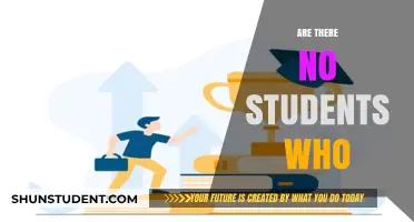 Exploring the Myth: Are There Truly No Students Who Excel?