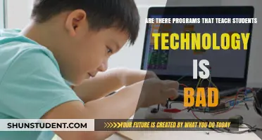 Debunking Myths: Do Schools Teach Students to Fear Technology?