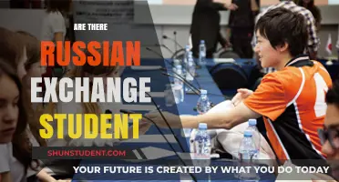 Exploring Cultural Exchange: Are There Russian Students Abroad?