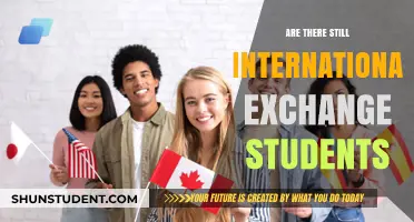 International Exchange Students: Still a Thing?