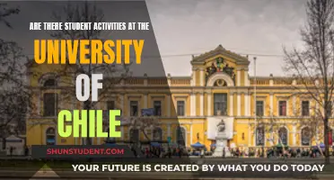 Student Life and Activities at the University of Chile