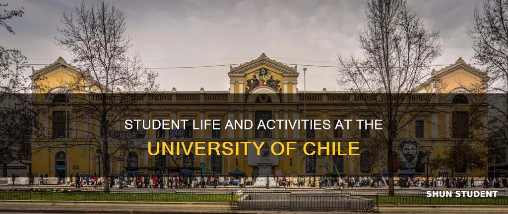 are there student activities at the university of chile