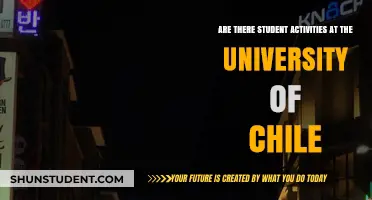 Student Life at the University of Chile: Activities and More