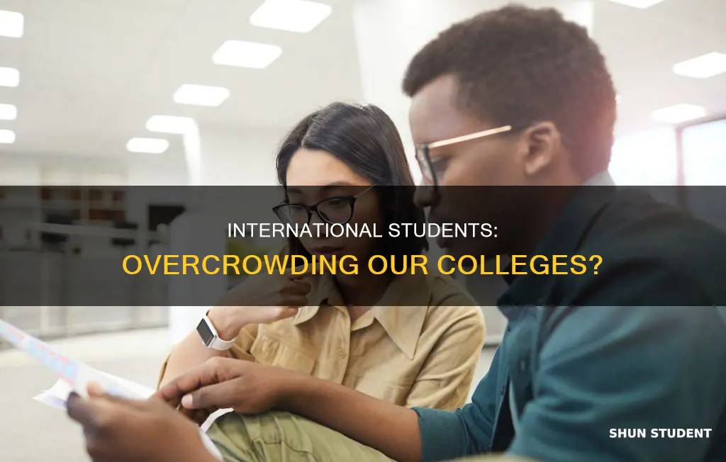 are there too many international students in colleges