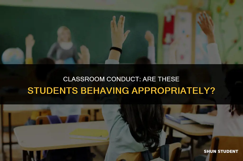 are these students behaving appropriately