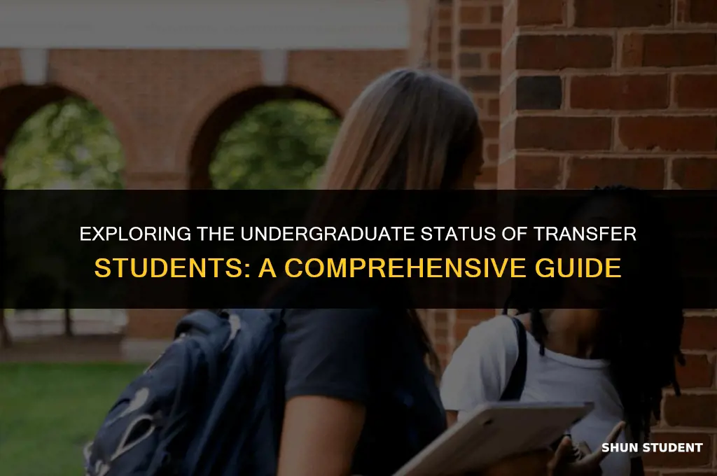 are transfer students consider undergraduate