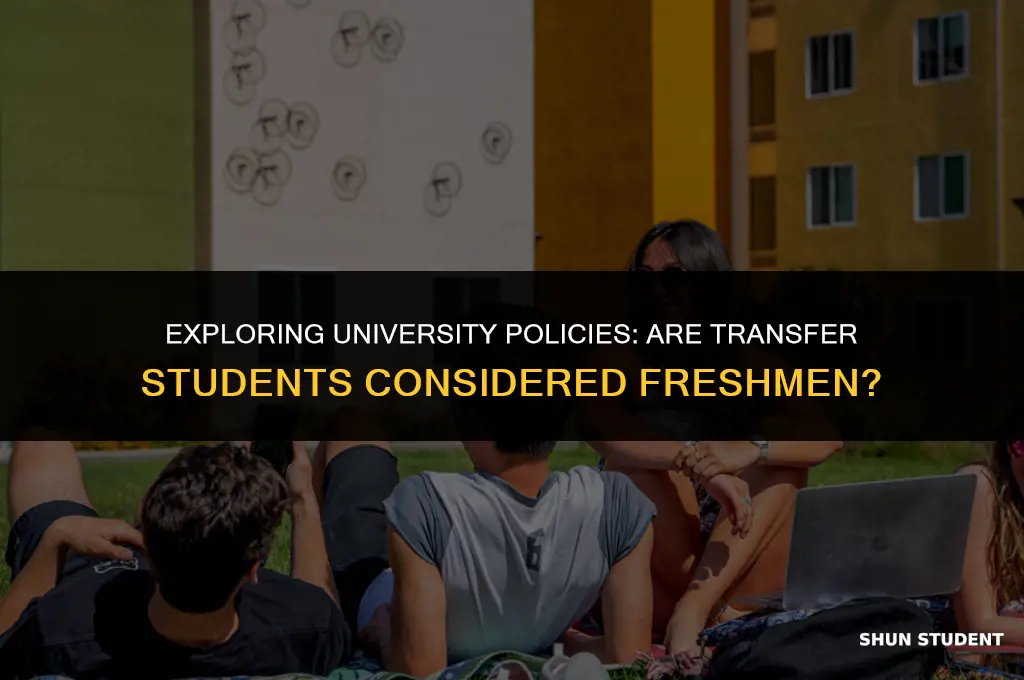 are transfer students considered freshman