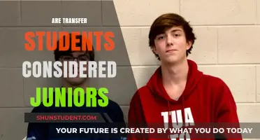 Exploring the Academic Standing of Transfer Students: Junior or Not?
