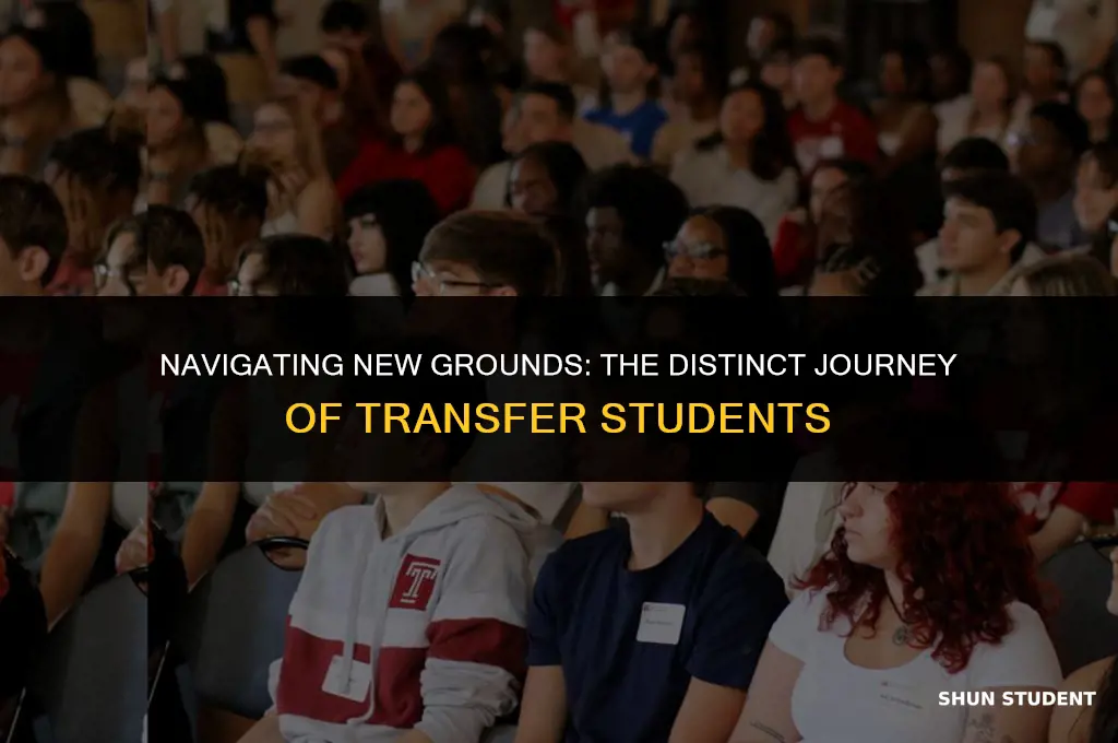 are transfer students treated differently