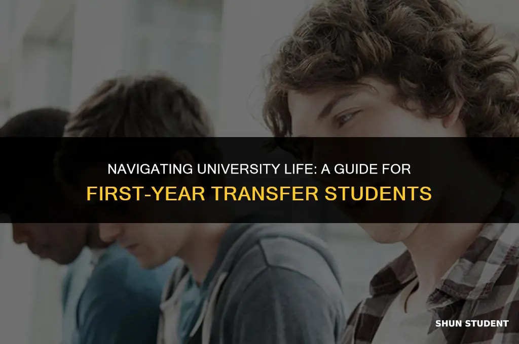 are transfers first year student