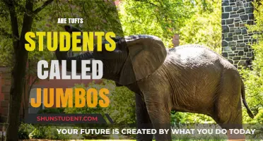 Unveiling the Jumbo Identity: A Deep Dive into Tufts University's Unique Mascot