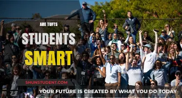 Exploring the Intellectual Prowess of Tufts University Students