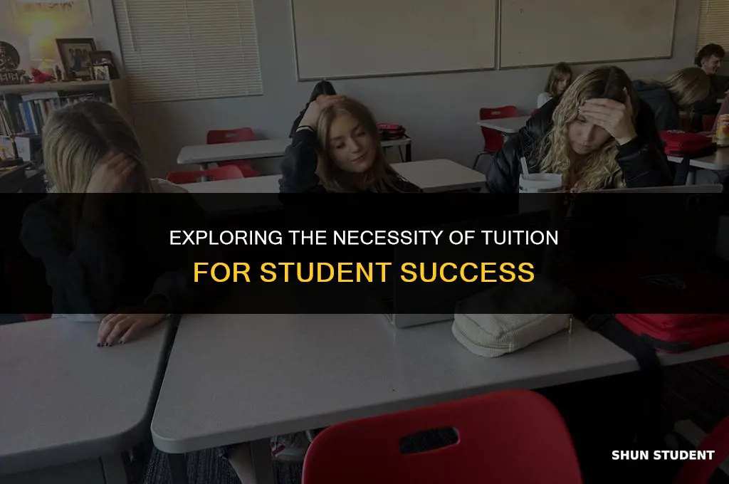 are tutions necessary for students