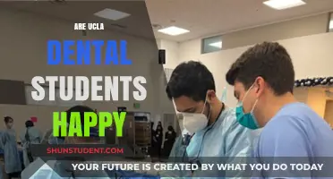 Exploring the Well-being of UCLA Dental Students: A Comprehensive Look
