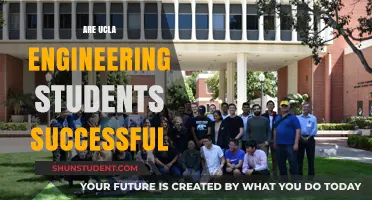 From Bruins to Breakthroughs: The Success Stories of UCLA Engineering Students