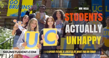 Exploring the Happiness Paradox Among UCLA Students