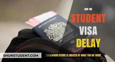 Navigating the Uncertainty: UK Student Visa Delays Impacting International Students