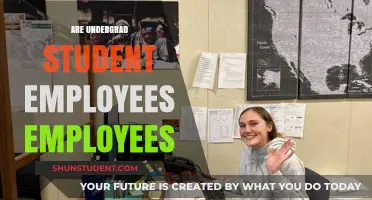 The Employment Status of Undergraduate Student Workers: A Comprehensive Guide